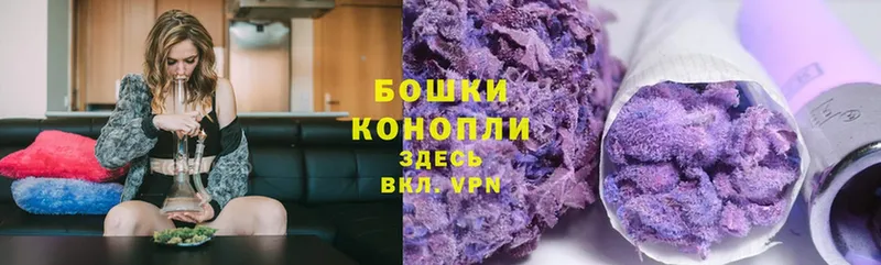 МАРИХУАНА SATIVA & INDICA  купить наркоту  hydra как войти  Болгар 